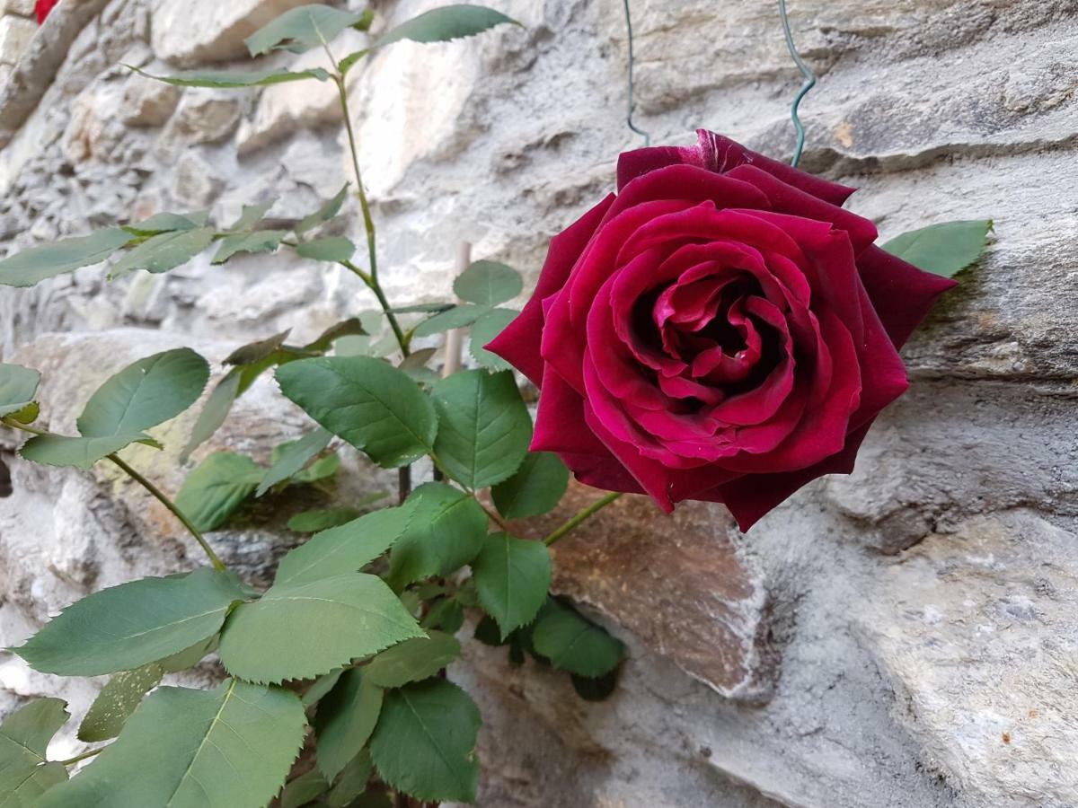 Il Torchio Villa Musso Dış mekan fotoğraf