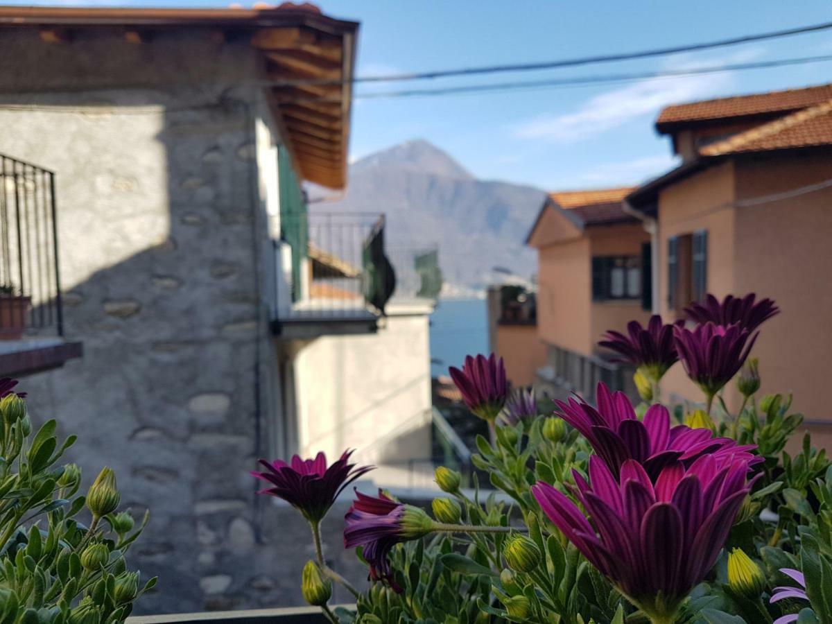 Il Torchio Villa Musso Dış mekan fotoğraf